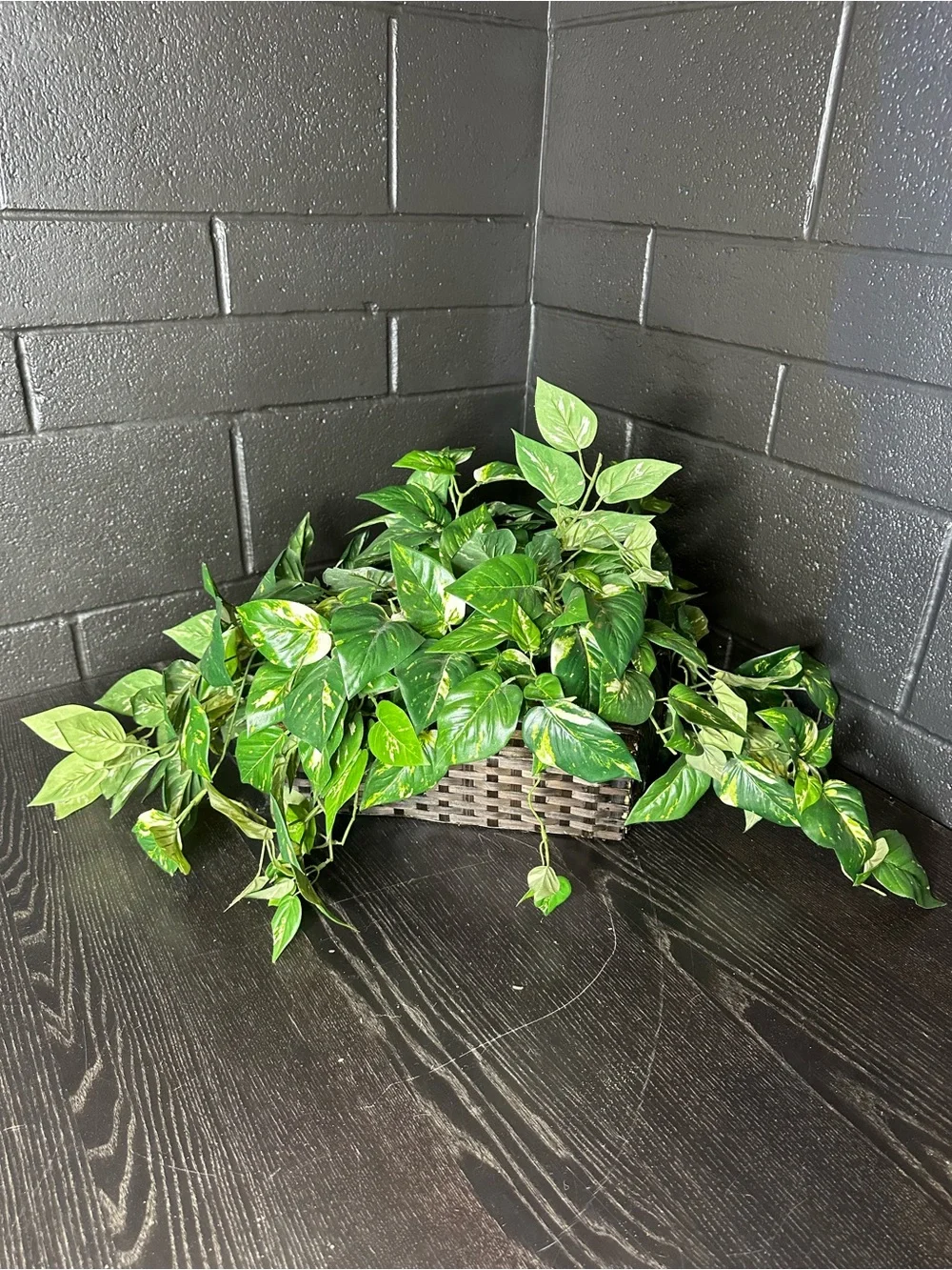 Faux Green Trailing Houseplant in Brown Woven Planter Basket